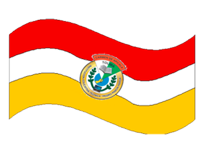 Bandera Institucional